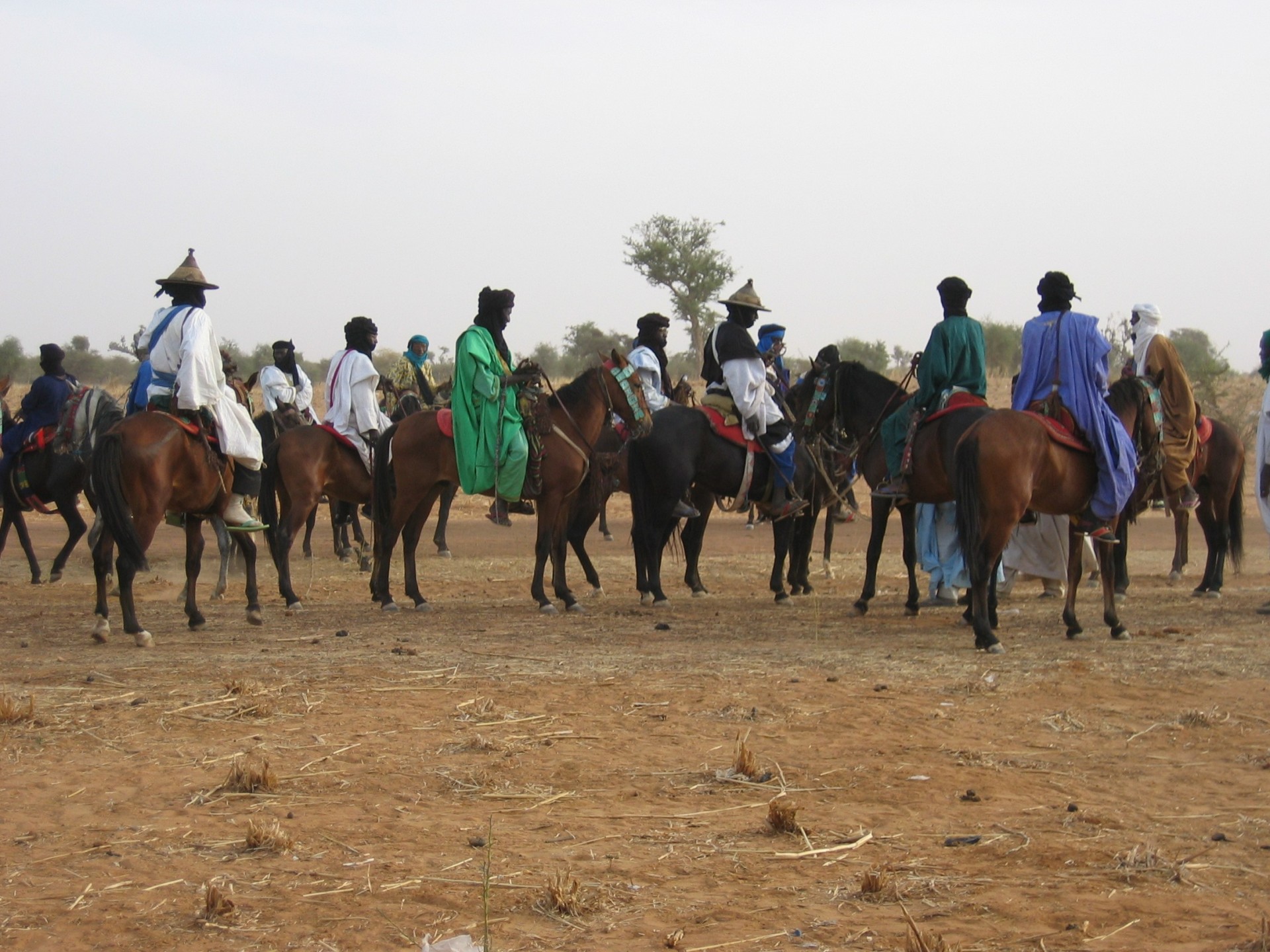 Peulh chevaux